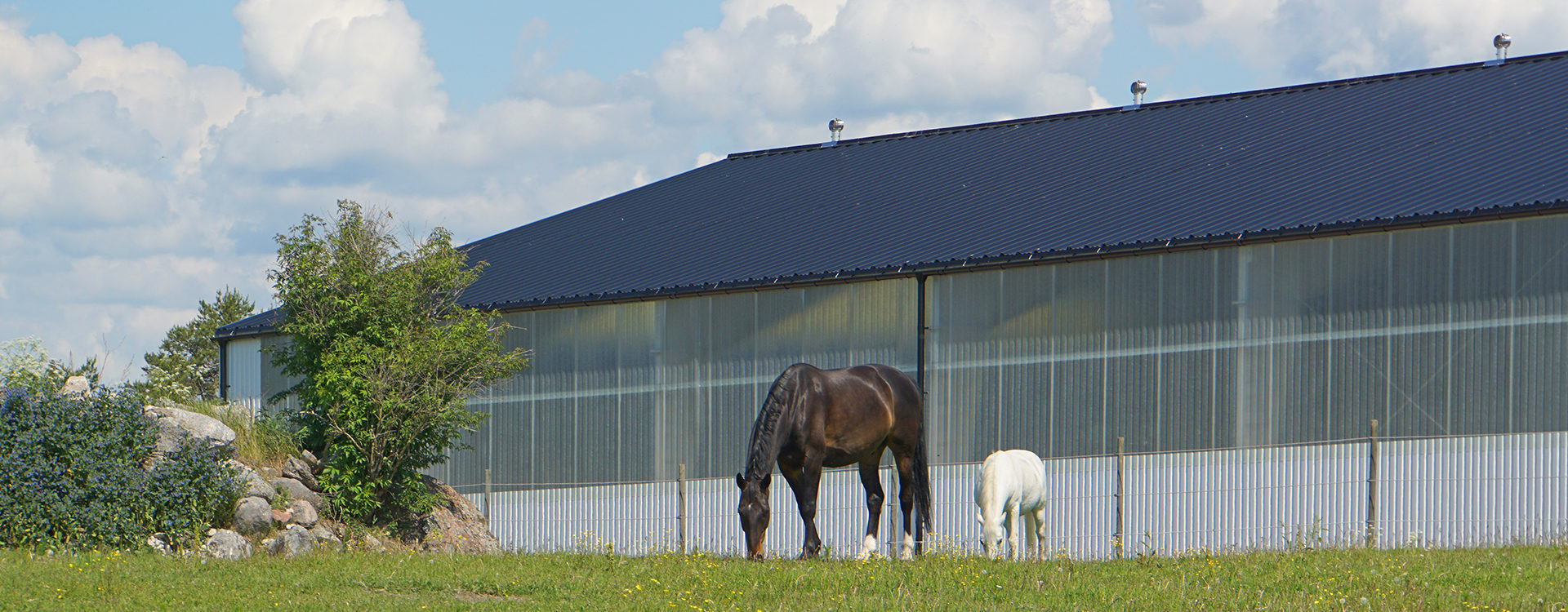  Equestrian steel buildings | BORGA